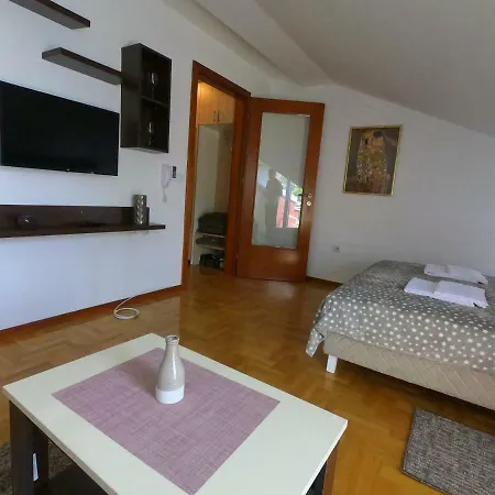 Zenit Apartment *