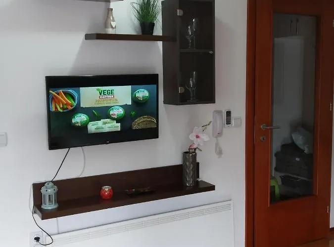 Zenit * Vrnjačka Banja